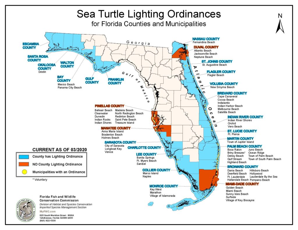 Florida sea turtle nest ordinances